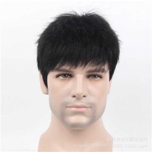 Wig Fashion Mens Wig Fluffy Short Hair Mechanical Chemical