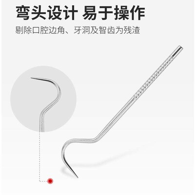 Stainless Steel Toothpick Set for Home Use, Oral and Dental