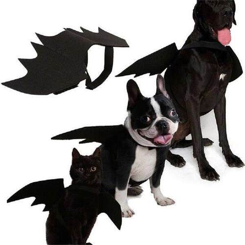 Pet Dog Cat Bat Wing Photo Props Black Cosplay Prop Pet