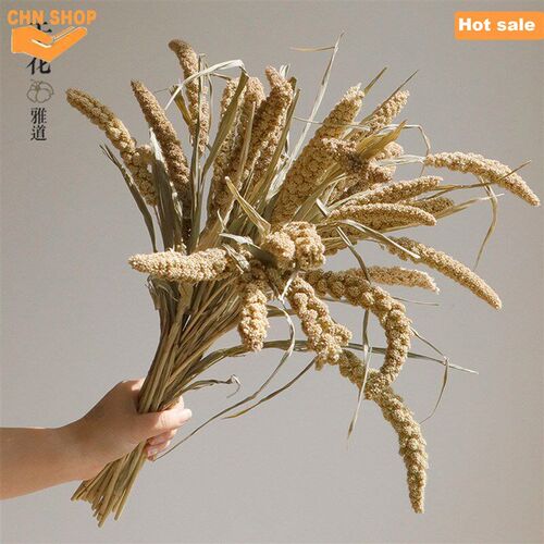 Pampas Grass,Room Wedding decoration,Fluffy Pompas Floral