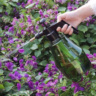 Handling household manual air pressure high-pressure spray w