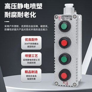防爆控制按钮开关 L/BZ53旋钮盒急停带防护罩IICT铸铝箱有