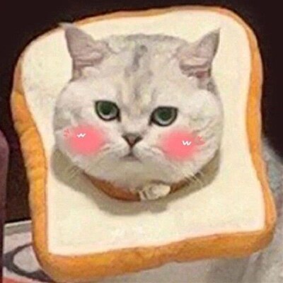 Cats Recovery Collar Toast Shaped Cone Cats Head Leg Wound