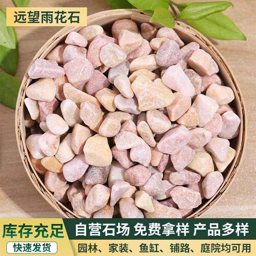 黄色水洗石 工程铺路园林造景洗米石胶粘石 盆栽铺面小石头砾石子