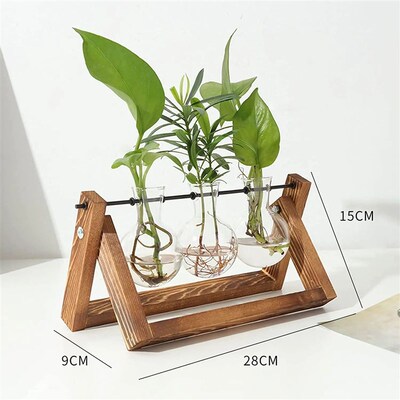 Propagation Station for Bulb, Vases with Wooden Stand and Me