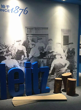 德国蓝帜LEITZ木工精密推台锯裁板锯专用合金锯片寸300/72/9齿