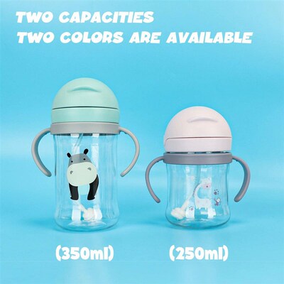 Kids Water Bottle 250ml/350ml with Straw & Anti Leak Silicon
