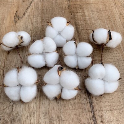 Immortal Cotton Dried Flowers, Simulated Single Kapok Bouque