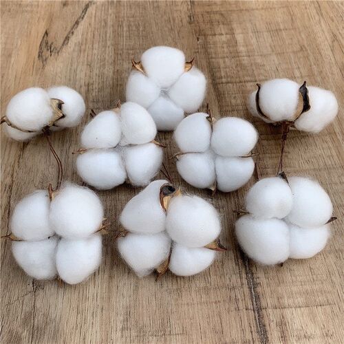 Immortal Cotton Dried Flowers, Simulated Single Kapok Bouque