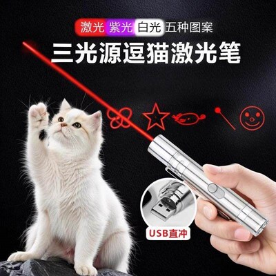 New Infrared Laser Cat Toy - 5 Pattern USB Rechargeable Mult