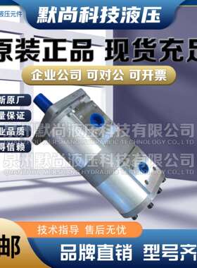 合肥皖液齿轮泵CBNL-F563/F520 F563/F510 F550/F520-BF液压油泵