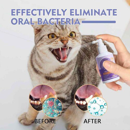 Pet Oral Cleanse Spray Dogs Cats Teeth Clean Deodorant With