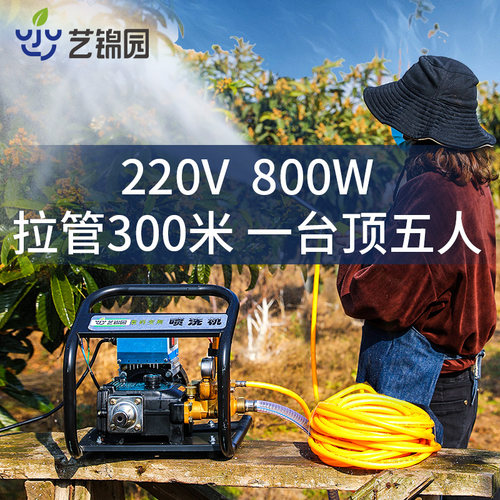 220V柱塞泵打药机高压农用喷雾器大功率自吸泵双缸药泵果园打药泵