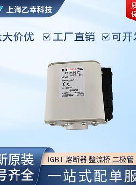 巴斯曼熔断器 170M8547 170M8550 170M8600 170M8601 170M8602