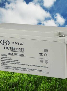 鸿贝蓄电池FM/BB12135T BABY电池12V135AH蓄电池