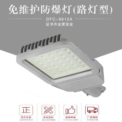 IP66免维护LED防爆路灯头50W60W80W100W120W灯杆60管径户外