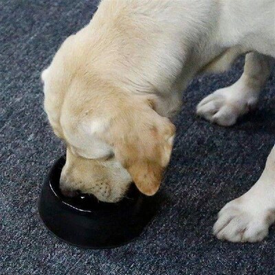 Slow Food Bowl Choke Prevention Dog Bowl Dog Bowl Cat Bowl