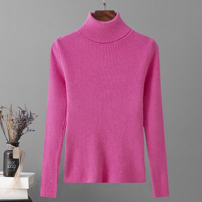 Winter Skinny Elastic Basic Turtleneck Black Sweater Women