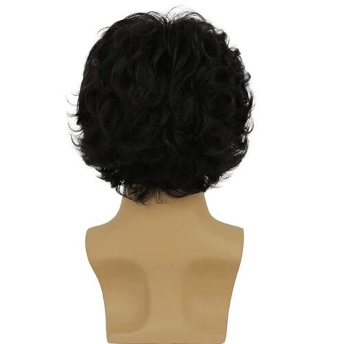 Wig Mens Short Curly Hair Fluffy Denim Style Mens Hair Hig