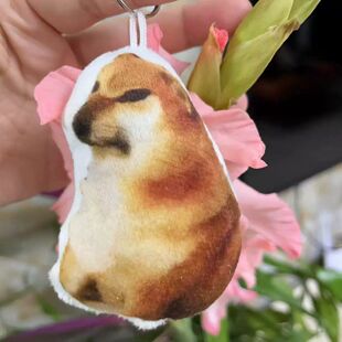 八嘎呀路语音玩偶按压会发声热梗恶搞柴犬毛绒玩具书包挂饰小礼品