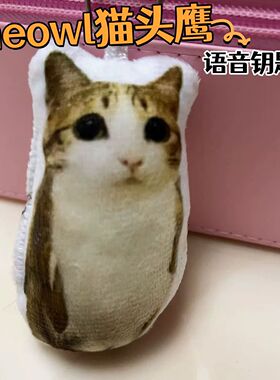 meowl猫头鹰语音钥匙扣学生创意潮流包挂件饰品玩偶按压小曲发声