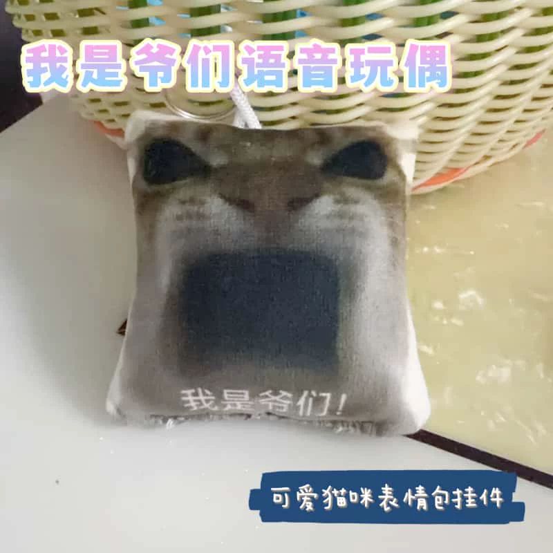 趣味搞怪猫咪语音钥匙扣挂件