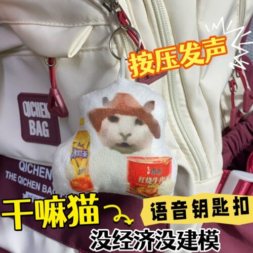 没经济没建模的小猫语音挂件