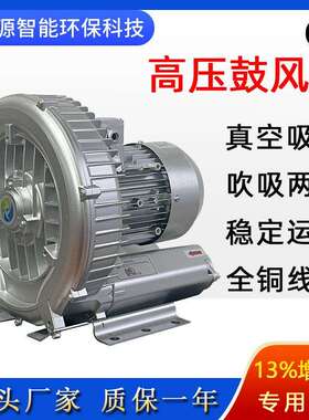 2PB 410 H06高压防爆风机沼气气体输送旋涡气泵环形漩涡式鼓风机