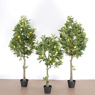 仿真室内植物带果带盆柠檬树 家居装饰绿植盆栽仿真柠檬树橘树