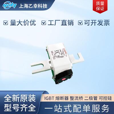 巴斯曼熔断器 170M6254 170M6256 170M6258 170M6259 170M6260