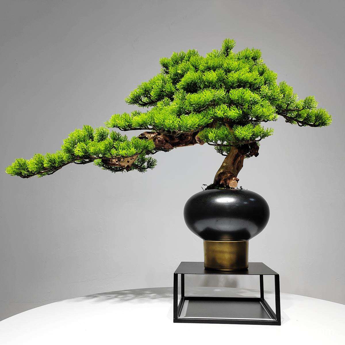 新中式迎客松盆景客厅玄关摆件茶室禅意茶几玄关家居售楼处装饰品