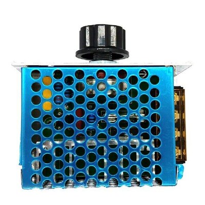 4000W Thyristor Governor with Fuse Case AC 220V Temperature