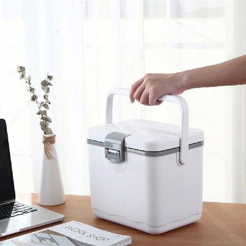 4.5L Insulated Portable Cooler with Handle Picnic Ice