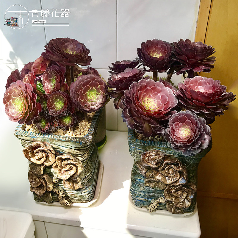 青藤花器韩式多肉粗陶花盆复古手绘透气缀化黑法师仙女杯老桩高盆