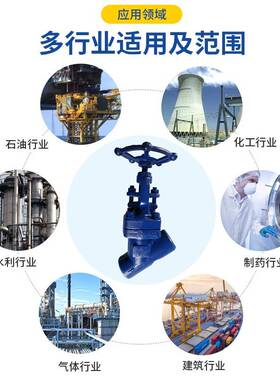 J66045Y-800LB锻钢Y阀型截止Y型截止阀截止阀A015材质截止阀