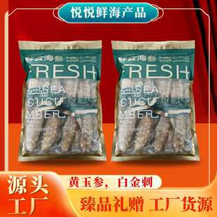 源头工厂货源 代发印尼黄玉白金刺参鲜食黄肉刺王即食海参