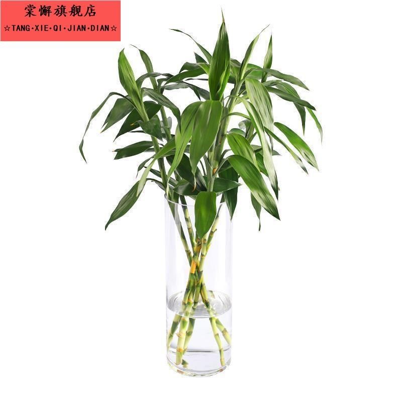 直桶塑料玻璃富贵竹塑料 花瓶路引直筒圆柱形婚庆落地,家居饰品,花瓶,淘宝优惠券,粉丝福利购,淘宝优惠卷