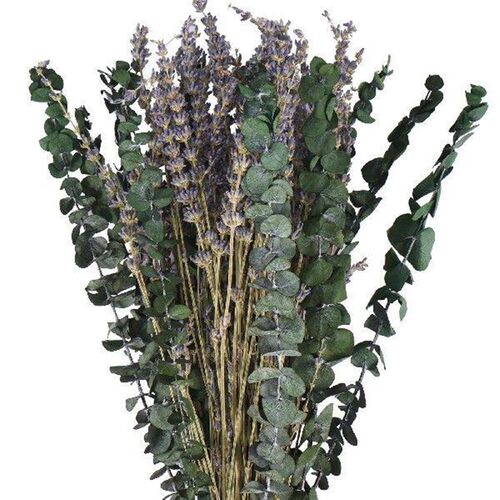 New 20/10Pcs Dried Eucalyptus Bundle for Shower Hanging
