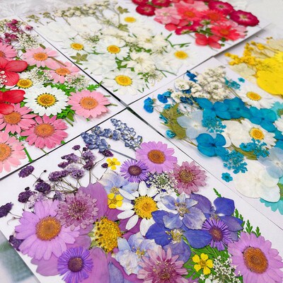 Dry Flower Embossed Diy Handmade Photo Frame Bookmark Glue P
