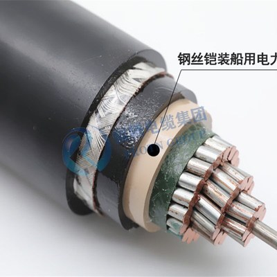 船用电力电缆CEV82/S 1*