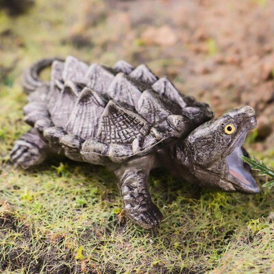 Chldrens cogntve smulaton amphban reptle turtle decoraton C