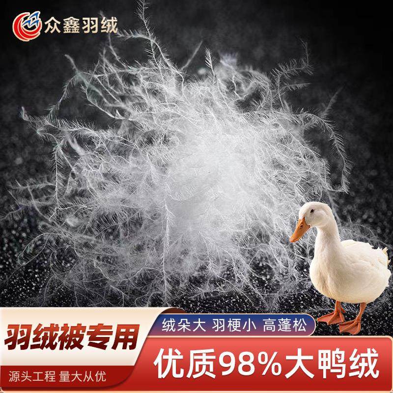 羽绒被专用95%纯白羽绒被专用国标水洗鸭绒床垫被子98%羽绒羽毛,纺织面料/辅料/配套,羽绒填充物,淘宝优惠券,粉丝福利购,淘宝优惠卷