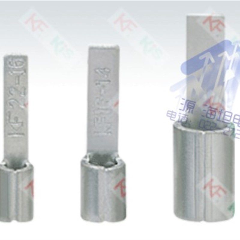 DBN2-9 紫铜片形端头端子 片型冷压端头 线耳铜端子 1000只,电子/电工,接线端子,淘宝优惠券,粉丝福利购,淘宝优惠卷