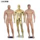 尚服装 人体特展示模强壮肌肉电时年镀金色男模2026977新款