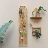 实木壁挂水培花瓶漂流木画装 饰画空气凤梨墙面花架创意玻璃花器