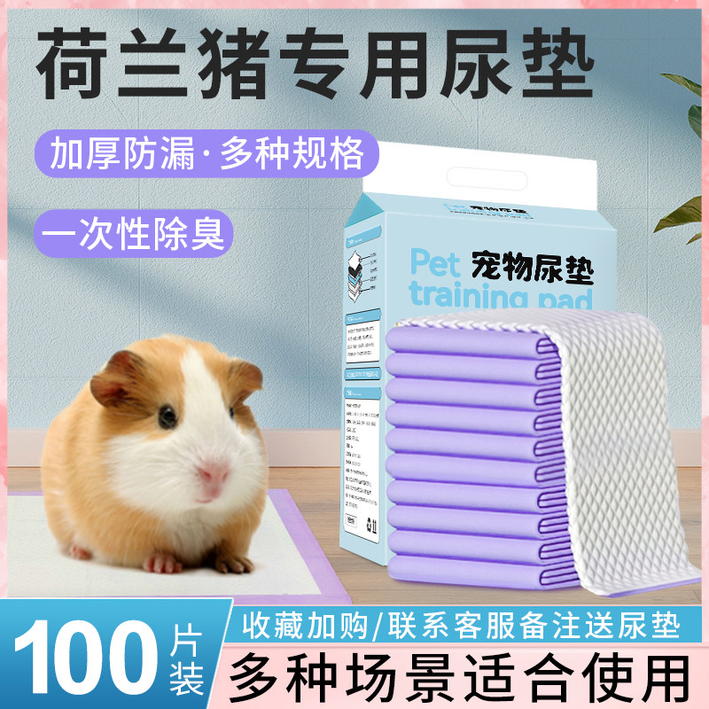 荷兰猪尿垫龙猫豚鼠护理尿不湿加厚吸水隔尿垫除臭垫料宠物猪用品