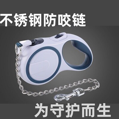 Pet leash - retractable, controllable, safety leash for walk
