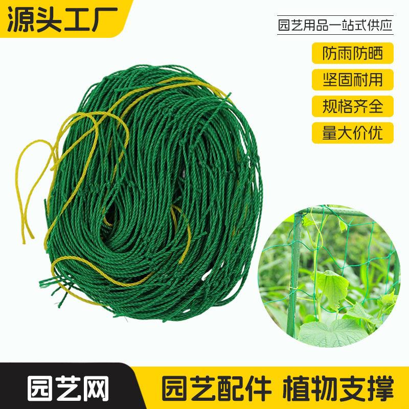 园艺爬藤网百香果葡萄植物攀爬瓜果藤蔓花卉有节网豆角牵藤搭架网