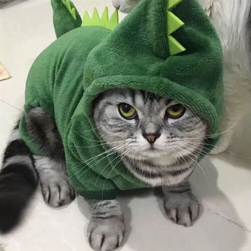 Pet Cat Clothes Puppy Dog Cat Funny Dinosaur Costume Winter