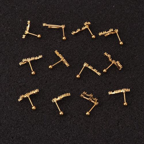 New Stainless Steel Twelve Constellation Ear Piercing Jewelr